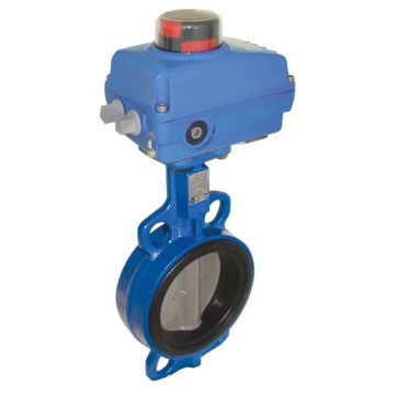 Butterfly valve-WA, DN65, with actuator NE05, GG/stainless steel/EPDM, 24V DC, oper. time ca. 8s