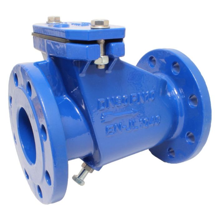 Sewage (waste water) Check Valve DN65, PN10, Cast iron-25 / EHR / EPDM, with ventilation device
