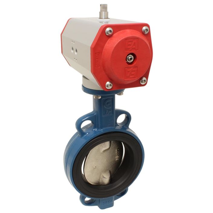Butterfly valve-TA, DN65, with drive-ED, DW55, AX, Cast ironG / steel / PTFE, double acting