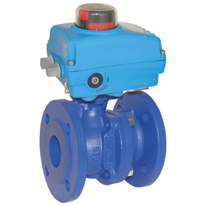 Ball valve TF, DN25, with drive-NE05, Cast iron-40 / stainless steel, PTFE / NBR, 24V DC