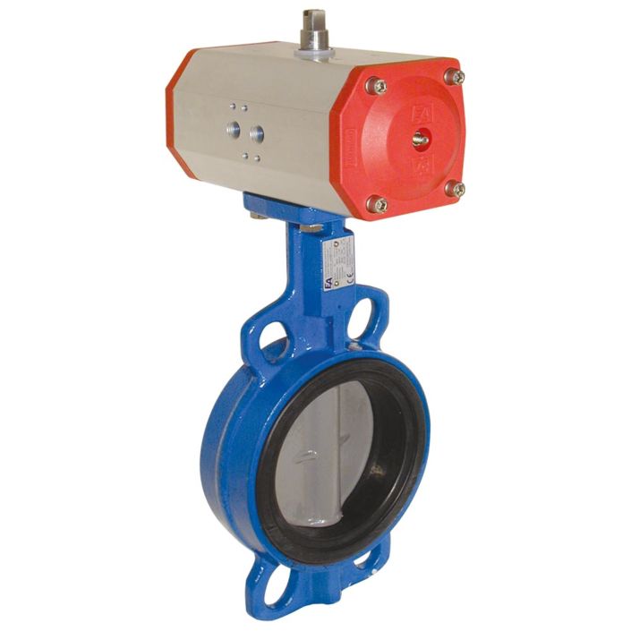 Butterfly valve-WA, DN50, with drive-ED, DW55, AX, Cast iron / stainless steel / NBR, double acting