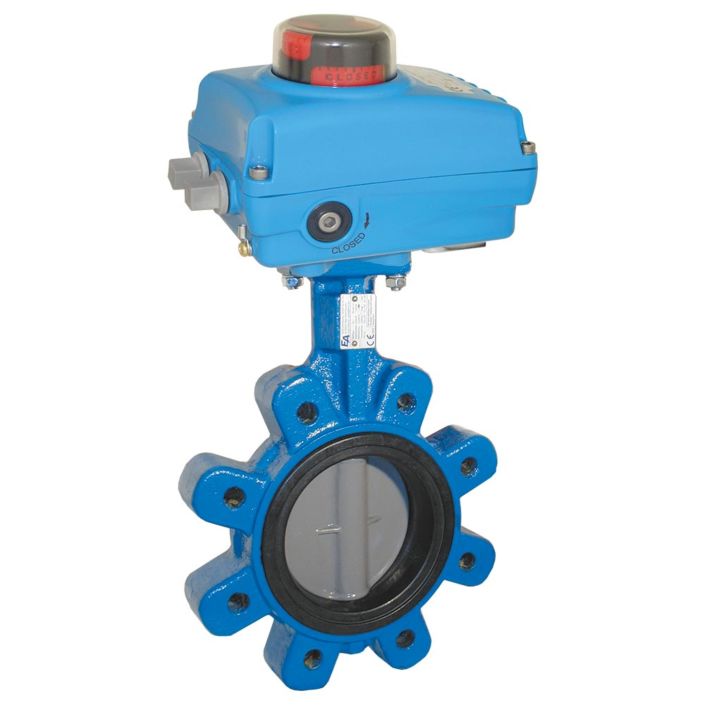 Butterfly Valve WM, LUG, DN50, with drive N, Cast iron-40 / stainless steel / EPDM, 24V DC, run